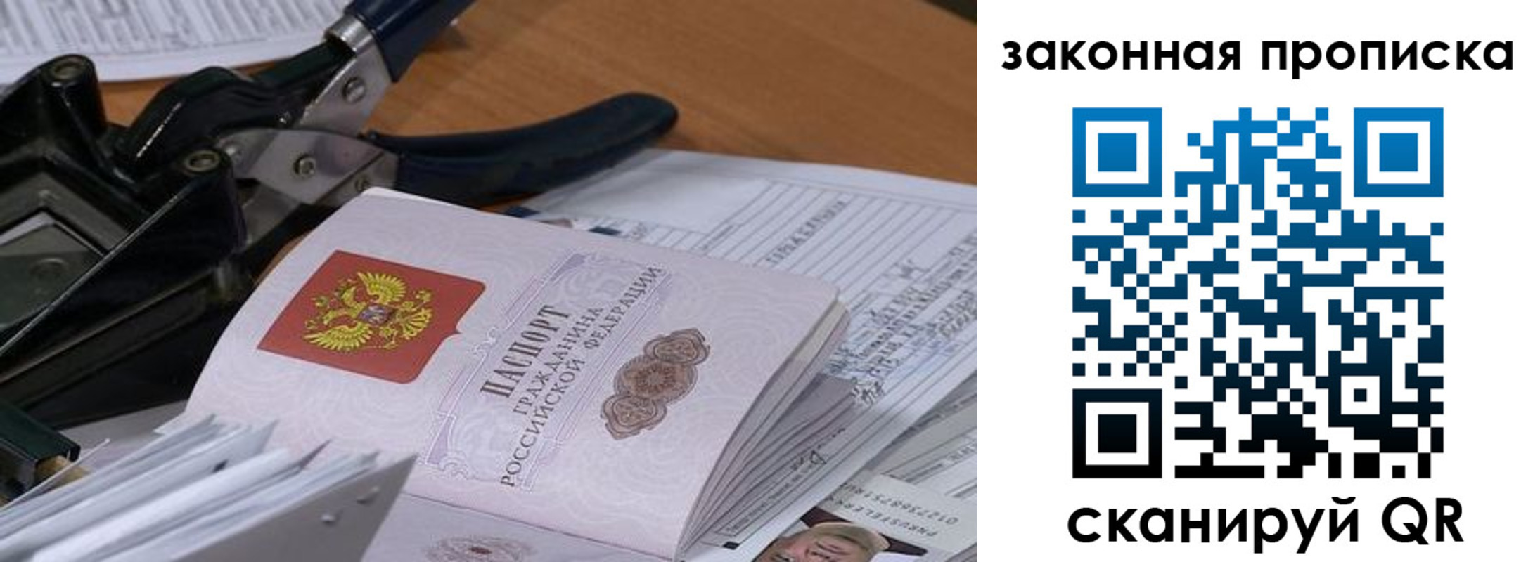 прописка 2025 в Павловске