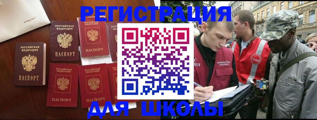 где прописаться в Павловске